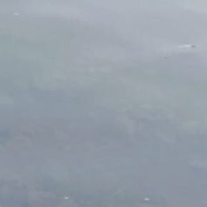 Meet your Posher, Razanne